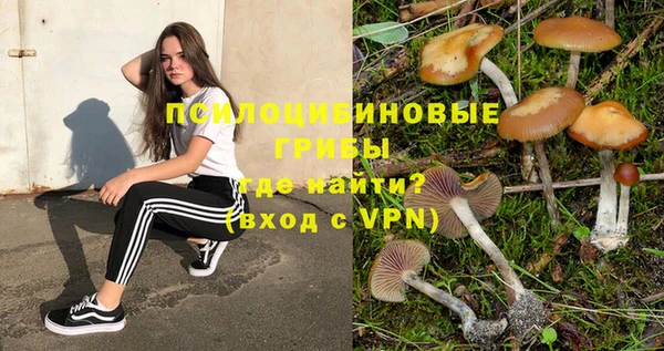 тгк Абинск
