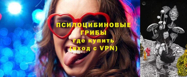 тгк Абинск
